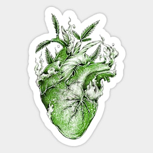 Green Heart Sticker